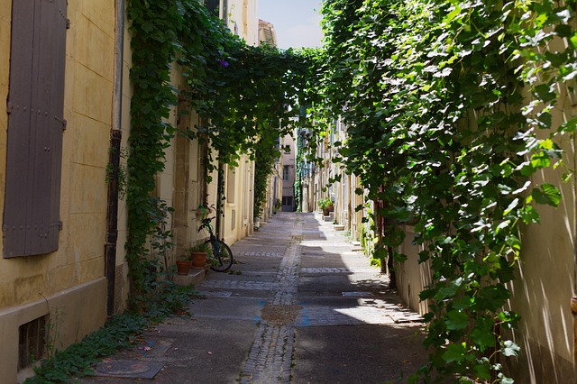 "Paisagem dos campos de lavanda na Provença, França, com fileiras roxas de flores sob um céu azul e montanhas ao fundo."